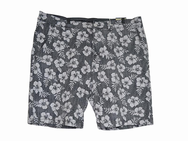 23-G 675- 677-678 CORTAS
